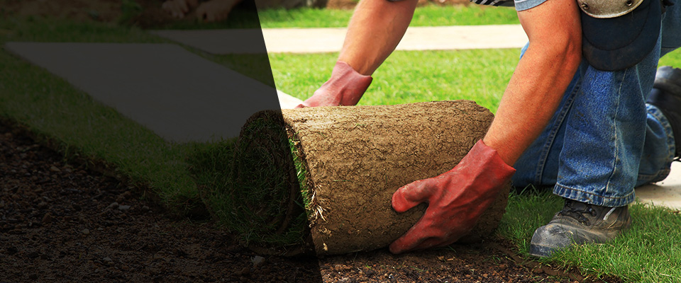 Denison Landscapers